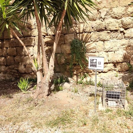 La Torre Apartman Tarquinia Kültér fotó